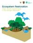 Ecosystem Restoration. Green Growth Opportunities in the Katingan Peatlands