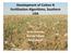 Development of Cotton N Fertilization Algorithms, Southern USA