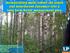 Incorporating multi-cohort old aspen and mixedwood dynamics into a long term forest management plan