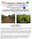 Report on Grapes in Fresno CA Dr. Layan D. Said, Consultant NATURAL RESOURCES CONSERVATION SERVICE SECOND YEAR - NUTRIENT MANAGEMENT PROTOCOL FOR