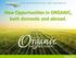 New Opportunities in ORGANIC, both domestic and abroad.