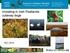 Investing in Irish Peatlands cutaway bogs NCI 2014