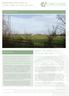 Cork s Farm. Proposals for land at Cork s Farm in Marchwood. existing site. About the joint venture partners