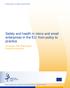Safety and health in micro and small enterprises in the EU: from policy to practice