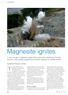 Magnesite ignites. by Mike O Driscoll, Editor
