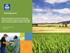 Role of the private sector in furthering resource-efficient agricultural knowledge and innovation systems (AKIS) in Europe