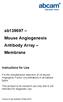 ab Mouse Angiogenesis Antibody Array Membrane