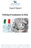 Expert Report. Posting of employees to Italy