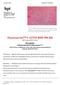 Hypoxyprobe -1 ATTO RED 594 Kit (HPI Catalog # HP13-XXX)