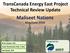 Maliseet Nations. TransCanada Energy East Project Technical Review Update. May/June 2016 MSES. Prepared by. Brian Kopach, PhD