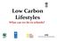 Low Carbon Lifestyles What can we do in schools?