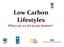 Low Carbon Lifestyles What can we do in our homes?