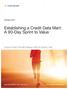 Establishing a Credit Data Mart: A 90-Day Sprint to Value