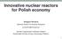 Innovative nuclear reactors for Polish economy