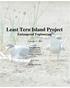 Least Tern Island Project Endangered Engineering