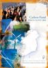 Carbon Fund. annual report 2010