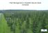 Pest Management in Swedish Spruce Seed Orchards
