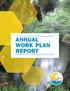 annual work plan report