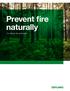 Prevent fire naturally. Eco-efficient flame retardants
