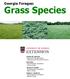 Grass Species. Georgia Forages: