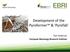 Development of the Pyroformer & Pyrofab. Tom Anderson European Bioenergy Research Institute