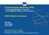 Trans-European Networks (TEN) - A Converging Strategy for Innovation - The Possible Next Steps for CEF Innovation