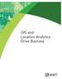 GIS and Location Analytics Drive Business