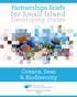 Partnerships Briefs for Small Island Developing States