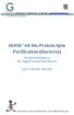HOOK 6X His Protein Spin Purification (Bacteria)