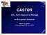 Castor CASTOR. CO 2, from Capture to Storage. an European Initiative. Pierre Le Thiez Project Manager CCS, IFP, France