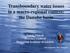 Transboundary water issues in a macro-regional context: the Danube basin
