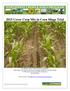 2015 Cover Crop Mix in Corn Silage Trial