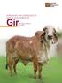 Gira promising Indigenous milch breed