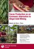 Cacao Production as an Economic Alternative to illegal Gold Mining