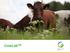 What is CowLab TM? The unique research environment that utilizes latest technology in milk production