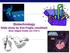 Biotechnology Slide show by Kim Foglia (modified) Blue edged slides are Kim s