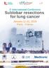 EDITO. First International Conference - Sublobar resections for lung cancer Programme. Dear Colleagues,