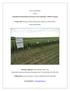 2014 Annual Report. for the. Agricultural Demonstration of Practices and Technologies (ADOPT) Program