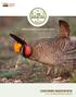 United States Department of Agriculture NATURAL RESOURCES CONSERVATION SERVICE LESSER PRAIRIE-CHICKEN INITIATIVE FY16-18 CONSERVATION STRATEGY