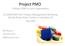 Project PMO Fitting a PMO to your organization