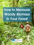 How to Measure Woody Biomass in Your Forest