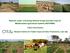 Resilient, water- and energy-efficient forage and feed crops for Mediterranean agricultural systems (REFORMA)