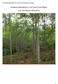 File: /53908F SWG Hardwood Management Strategy. Hardwood Management in the Coast Forest Region. Five year Results ( )