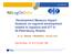 Development Measure Impact Analysis on regional development related to logistics and ICT in St.Petersburg, Russia