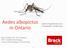 Aedes albopictus in Ontario
