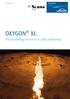 Success story OXYGON XL. For maximising efficiency in ladle preheating.