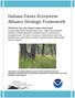 Indiana Dunes Ecosystem Alliance Strategic Framework