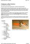 Chainsaw safety features From Wikipedia, the free encyclopedia