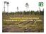 «The condition, dynamic and reasons of decline spruce in the North west of Russia». FGU «Northern Research Institute of Forestry» (Arkhangelsk)