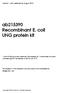 ab Recombinant E. coli UNG protein kit